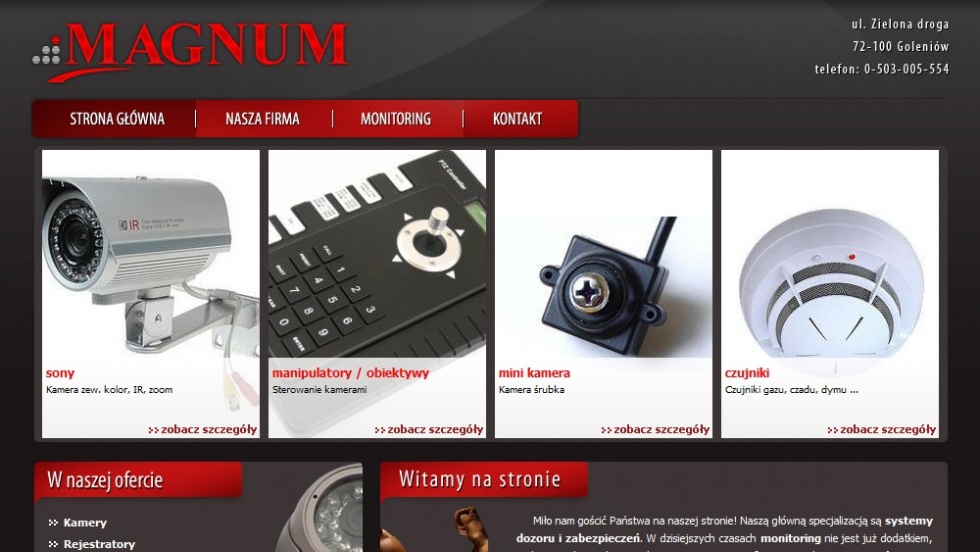 strony internetowe - podląg dla Magnum - monitoring, kamery nr 2