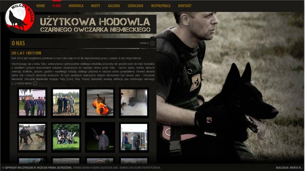 strony internetowe - podląg dla Hodowla czarnego owczarka niemieckiego nr 2
